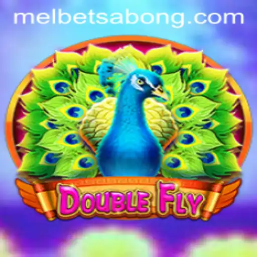 Exploring DoubleFly